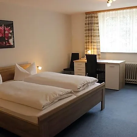 Hotel-restaurant Johanneshof 2* Nentershausen (Hessen)