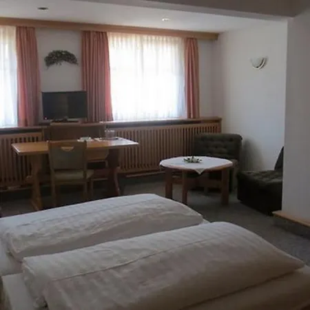 Hotel-restaurant Johanneshof מלון 2*