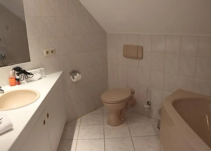 佐安尼斯霍夫酒店餐厅 酒店