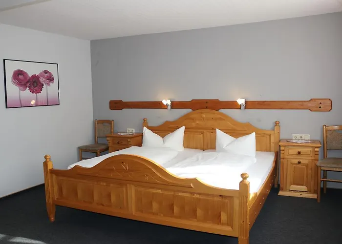 佐安尼斯霍夫酒店餐厅 酒店 2*