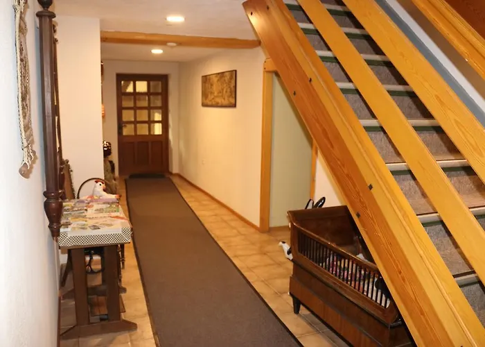 佐安尼斯霍夫酒店餐厅 酒店