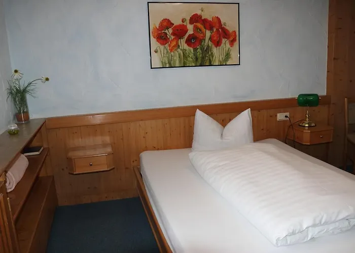 佐安尼斯霍夫酒店餐厅 酒店 2*