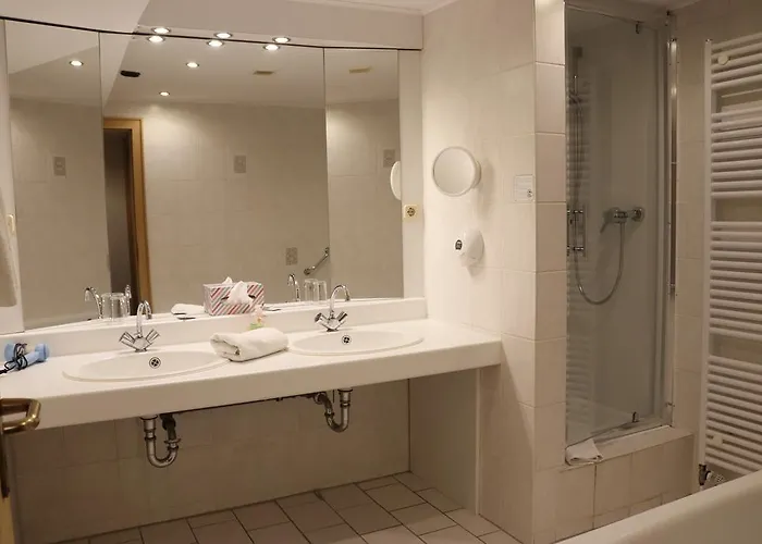 酒店 佐安尼斯霍夫酒店餐厅 2*