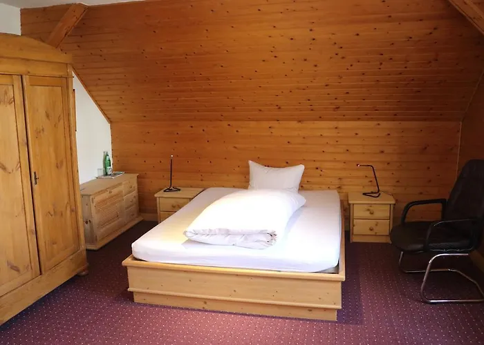 佐安尼斯霍夫酒店餐厅 2*